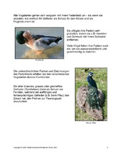 Das-Federkleid-der-Vögel-3.pdf